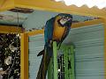 21a - Jardin Tropical 041